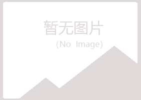 黔西南紫山造纸有限公司